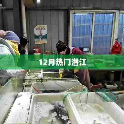 潜江十二月热点聚焦