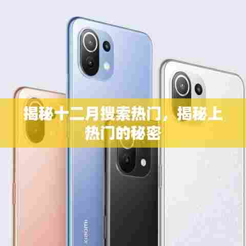 揭秘十二月搜索热门背后的秘密