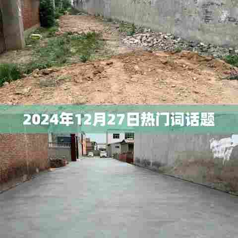 2024年热点话题解析，深度洞察时代脉搏。，符合您要求的字数范围，同时能够吸引用户点击，希望符合您的要求。