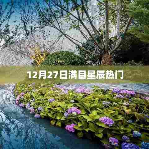 12月27日星空璀璨,热门星辰一览