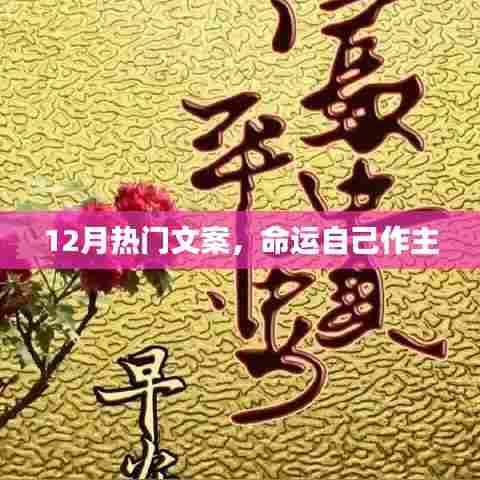 12月热门文案，命运掌握在自己手中