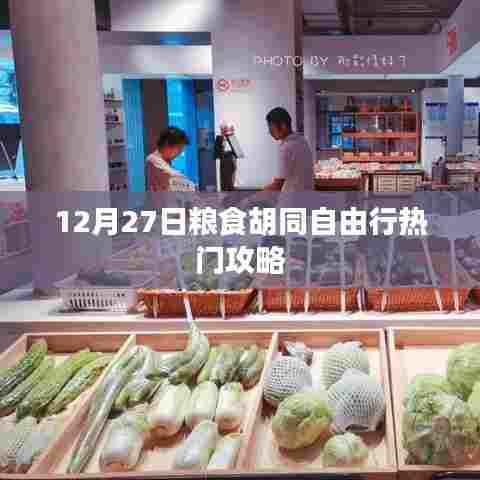 粮食胡同自由行指南,热门攻略揭秘