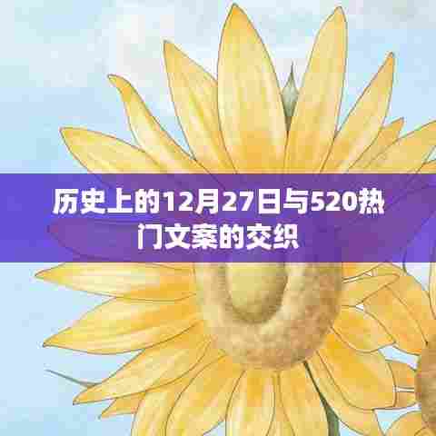 历史上的12月27日与浪漫520文案的碰撞