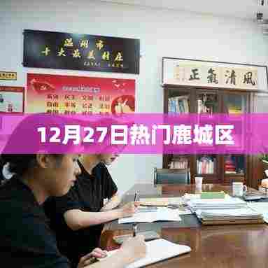 鹿城区12月27日热点事件概览