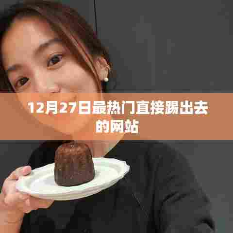 年终热点,揭秘最受欢迎的网站踢出服务