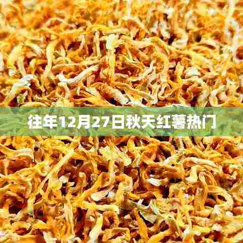 产品中心 第1279页