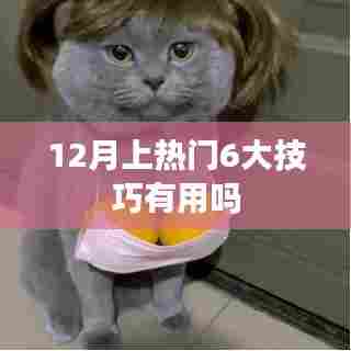 揭秘,12月热门推广的六大技巧真的有效吗?