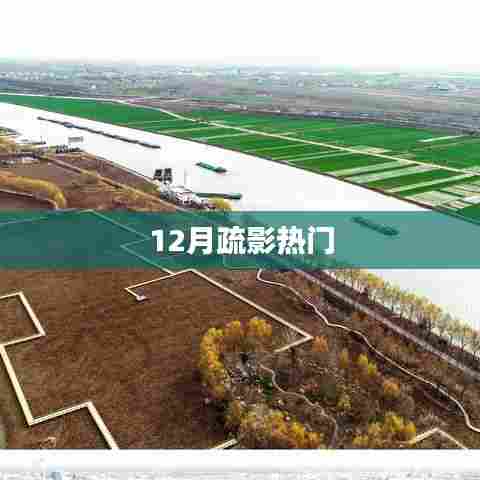 12月疏影热门，热门资讯大解析