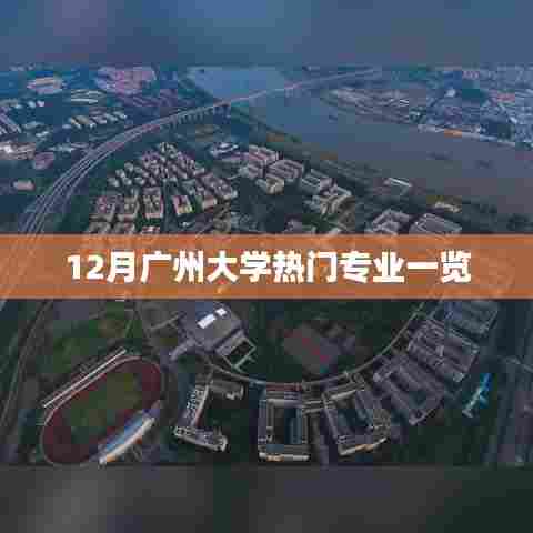 广州大学十二月热门专业概览