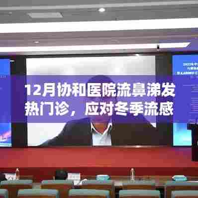 成功案例 第164页