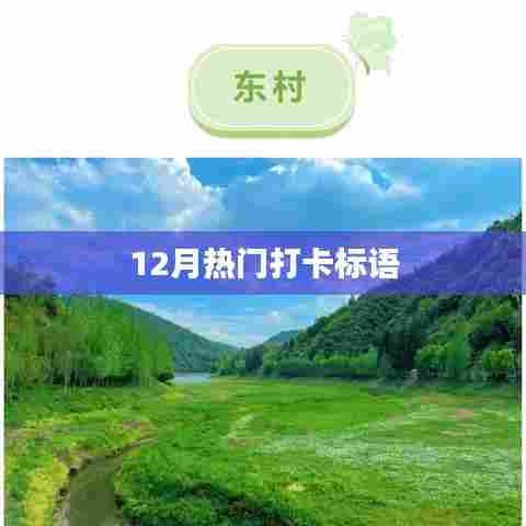 12月热门打卡标语，不容错过！