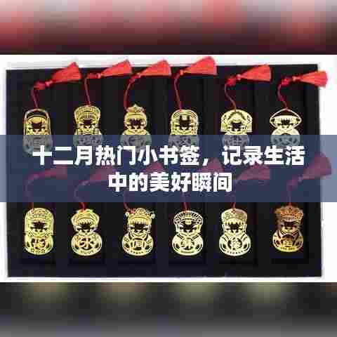 十二月热门小书签，记录美好瞬间