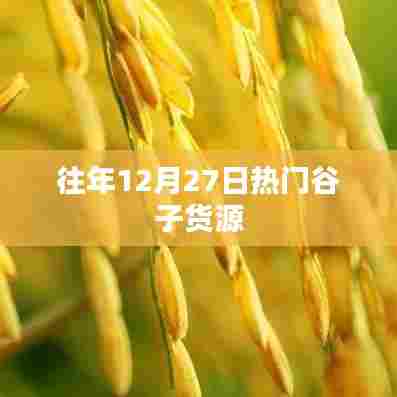 热门谷子货源盘点，历年年末抢鲜攻略