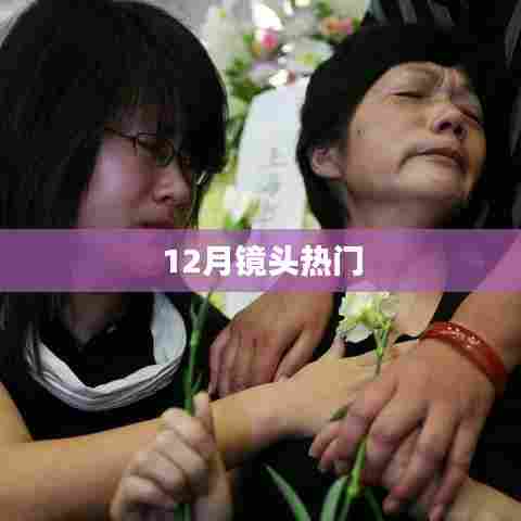 12月热点镜头聚焦