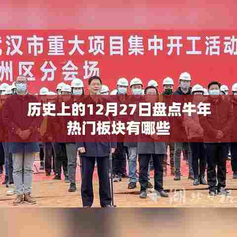 牛年牛板块盘点,历史上的十二月二十七日热门板块回顾