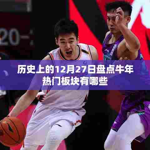 牛年牛板块盘点,历史上的十二月二十七日热门板块回顾