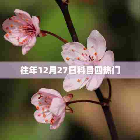 往年12月27日科目四考试热点及备考指南