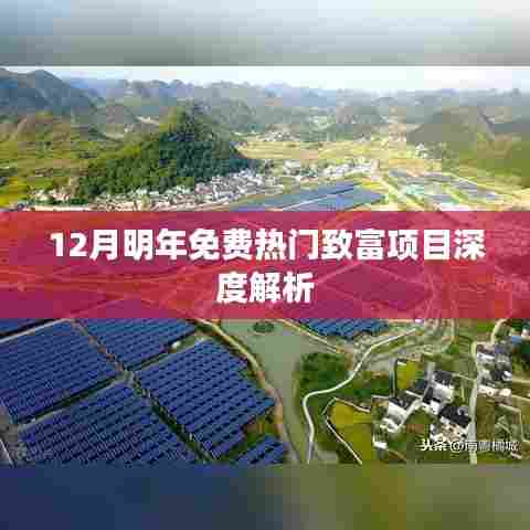 深度解析，十二月致富项目，明年免费开启致富路