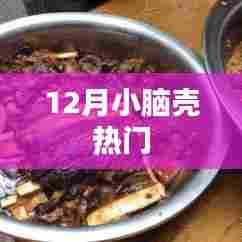 12月小脑壳热门内容盘点