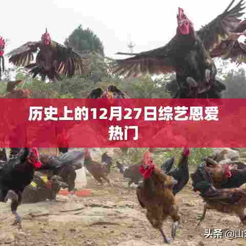 历史上的综艺恩爱日，12月27日的甜蜜回忆