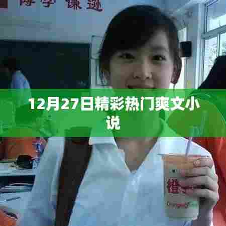 十二月二十七日必读热门爽文小说