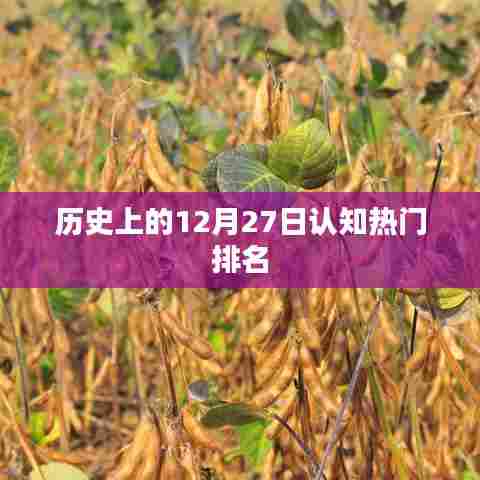 历史上的十二月二十七日热门认知排名