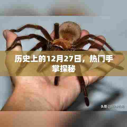 揭秘,历史上的十二月二十七日与手掌探秘之旅
