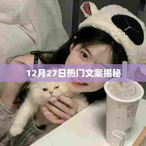 揭秘热门文案背后的故事，12月27日精选分享