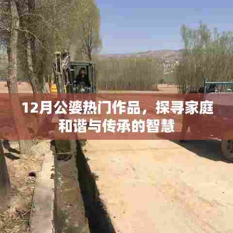 12月公婆热门作品揭秘，家庭和谐与传承的智慧之道