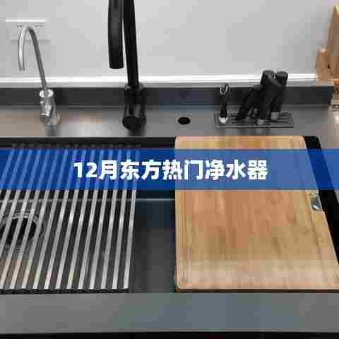 东方热门净水器品牌推荐