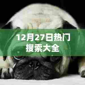12月27日全网热搜汇总