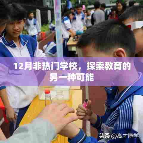 揭秘非热门学校的教育魅力，探索另一种教育可能