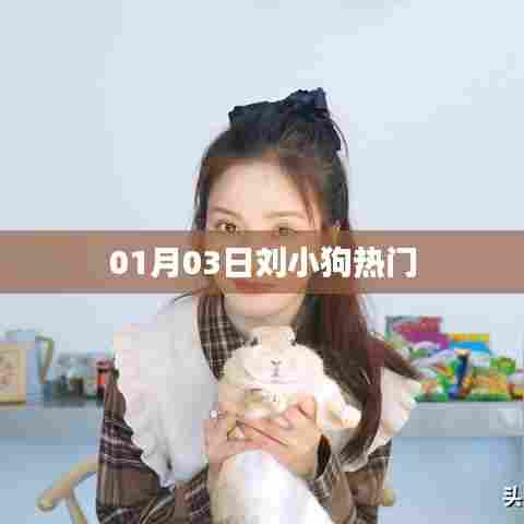 刘小狗最新热门动态 01月03日独家报道