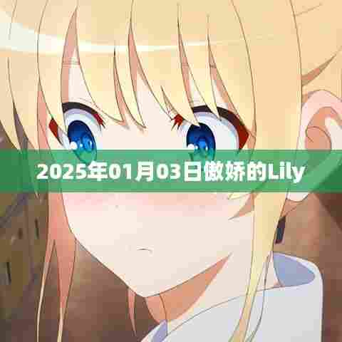 Lily的傲娇时刻，2025年1月3日记录