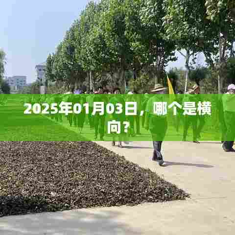 2025年1月3日，如何识别横向特征？