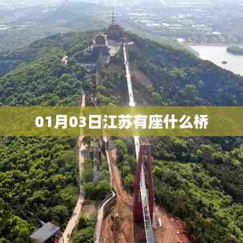 江苏某桥梁名称揭秘，一月份新发现！，简洁明了，符合您的字数要求，同时能够吸引用户点击阅读。