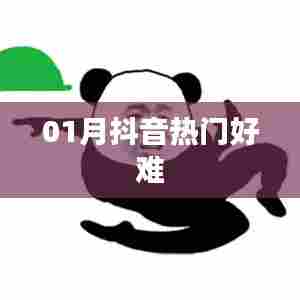 抖音热门挑战，如何把握一月的热度？