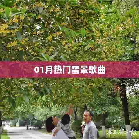 精选一月雪景歌曲榜单