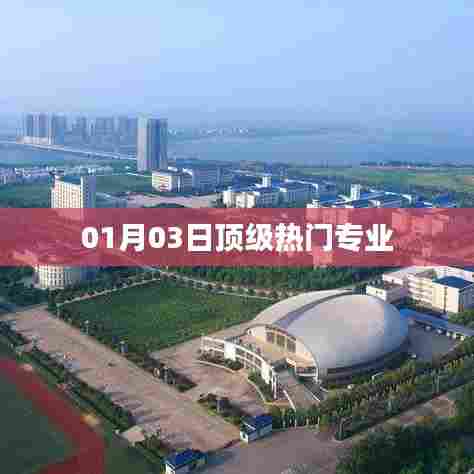 01月03日热门顶级专业解析