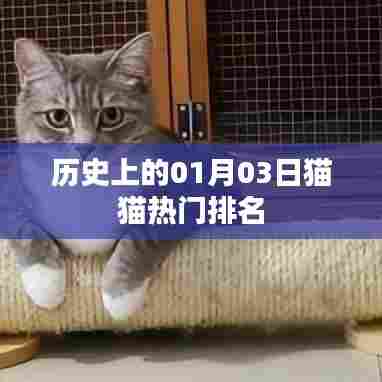 历史猫猫热门排名揭秘，一月三日榜单揭晓，希望符合您的要求，您还可以根据实际需求酌情调整。