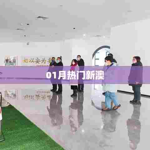 最新热门新澳资讯一网打尽！