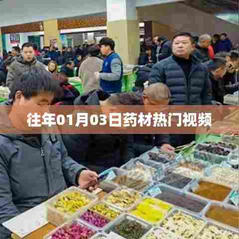 药材热门视频大盘点，历年一月三日精选回顾