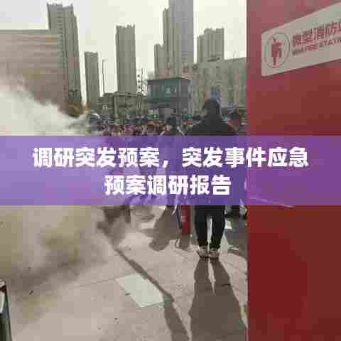 调研突发预案，突发事件应急预案调研报告 