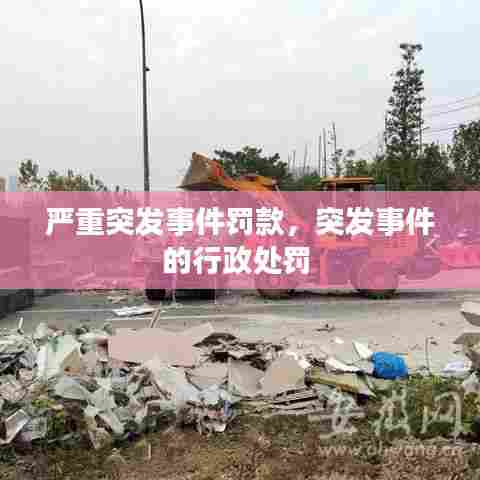 严重突发事件罚款，突发事件的行政处罚 