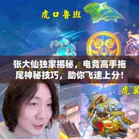 张大仙独家揭秘,电竞高手拖尾神秘技巧,助你飞速上分!