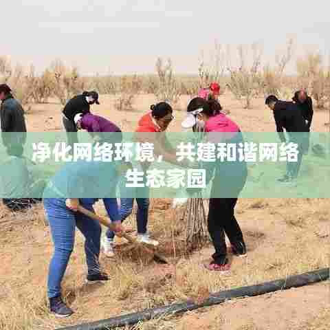 净化网络环境，共建和谐网络生态家园