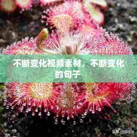 不断变化视频素材，不断变化的句子 