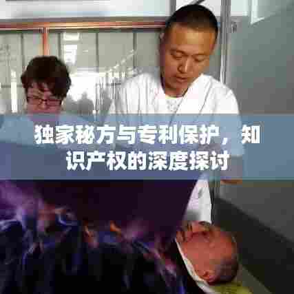 独家秘方与专利保护，知识产权的深度探讨