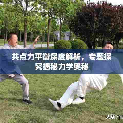 共点力平衡深度解析，专题探究揭秘力学奥秘