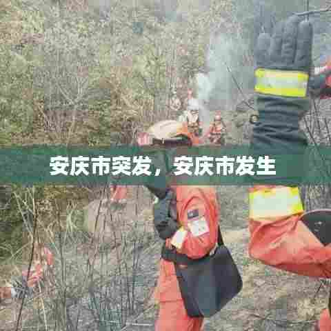 安庆市突发，安庆市发生 